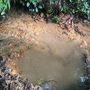 Creek rocks and minerals